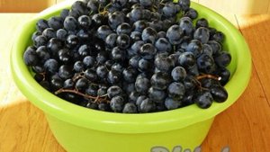 Виноградный сок домашнего приготовления