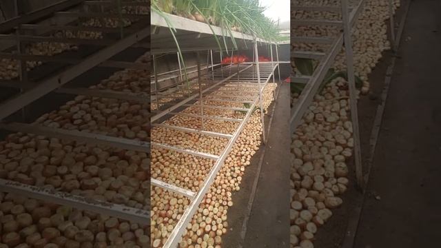 Зимняя теплица 6 смотреть онлайн