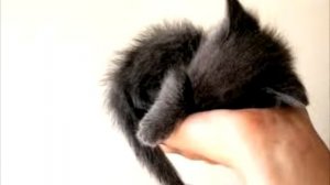 1 час классической музыки, расслабления