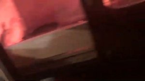 Вес кучинских цыплят в 1 месяц