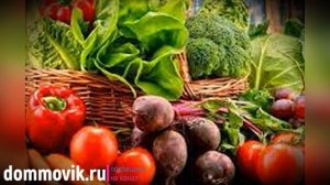 Аспирин для растений: аптечная подкормка для хорошего иммунитета рассады и цветов