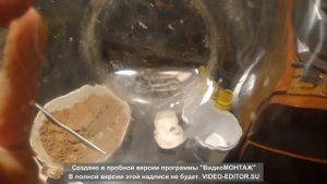 Добываю серебро из фотоплёнки