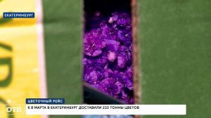 К 8 Марта в Екатеринбург доставили 233 тонны цветов