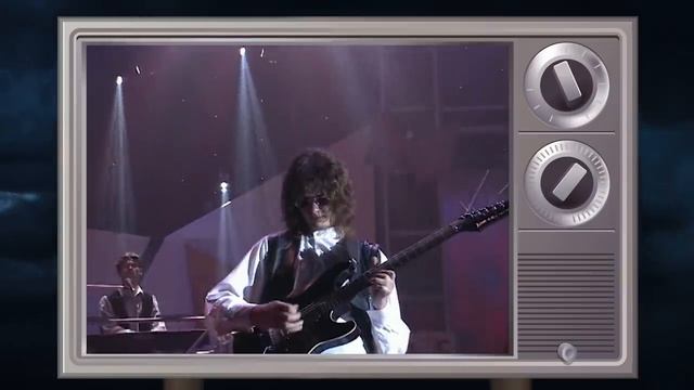 Божья коровка - «Гранитный камушек – 1995»