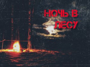 Страшные истории на ночь: ночь в лесу