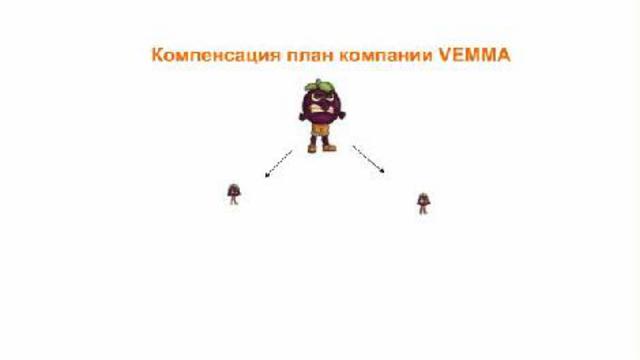 Презентация плана компенсации VEMMA