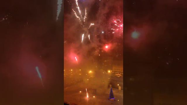 Собаку разрывает фейерверком. Смотреть до конца ;) смотреть онлайн