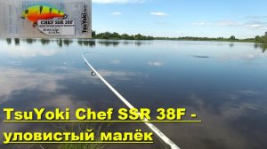 TsuYoki Chef SSR 38F - уловистый малёк. Тестирование воблеров TsuYoki