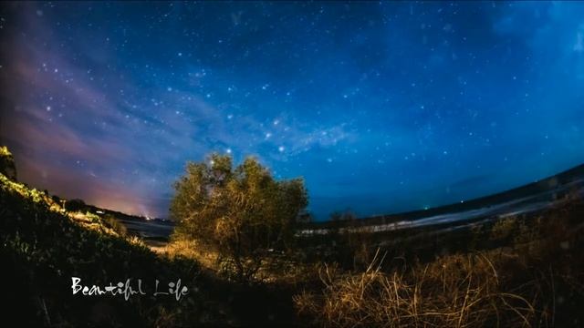 Best of Korg Style - Modern Martina смотреть онлайн