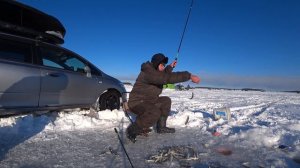 Рыбалка в Де-Кастри | Корюшка и зубарь на самодуры