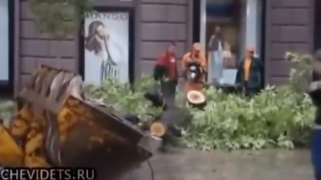 подборка видео, как не надо пилить деревья. Жми это сильно.