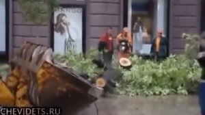 подборка видео, как не надо пилить деревья. Жми это сильно.