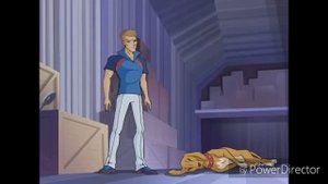 Winx Club - All Transformations From Supporting Characters and Extras!
