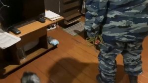 Наркополицейские Гвардейска ликвидировали наркопритон