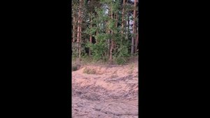 первый спуск Феникс 560