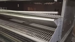 Клетки для перепелов