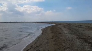 Куда поехать отдыхать в Крым к дельфинам и чистой воде