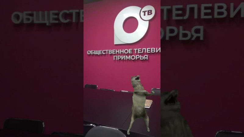 Эти герои работают во времена всеобщего отдыха! #shorts