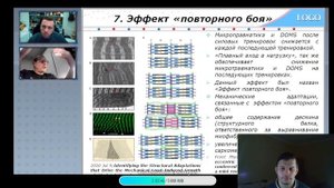 Стрим! Разбор МикроТравматики Головинский Замятин. Мнение Апокрифа