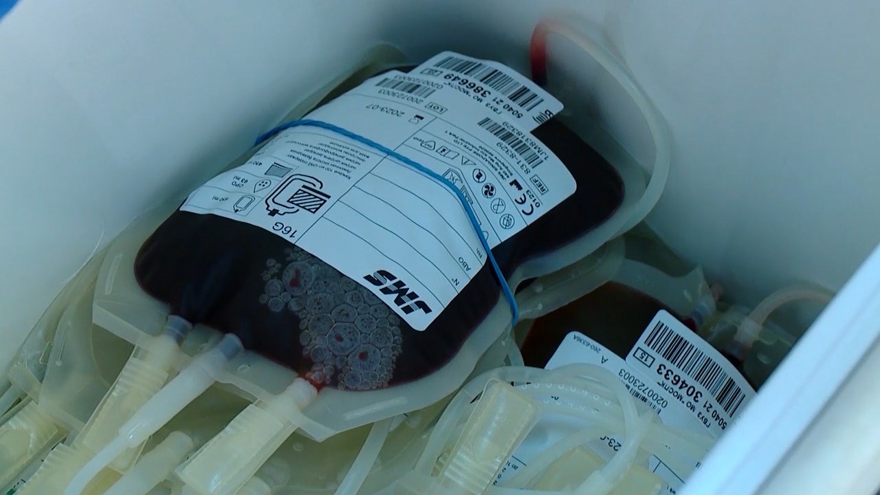 3 литра крови