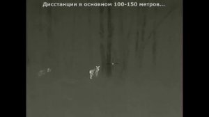 ОХОТА с ТЕПЛОВИЗОРОМ || iRay Saim SCT 35