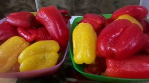 Рецепт заготовки на зиму домашнего маринованного болгарского перца за 10 мин  без стерилизации.