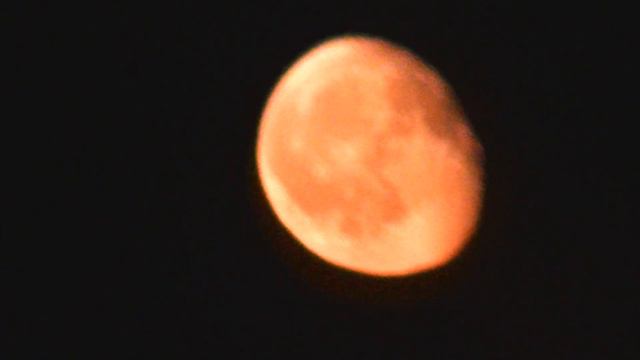 Желтая Луна на восходе. смотреть онлайн