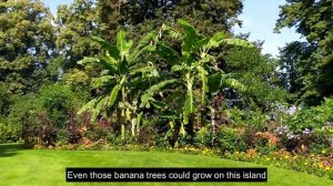 Hidden Paradise Island in Germany | Bodensee Mainau Island