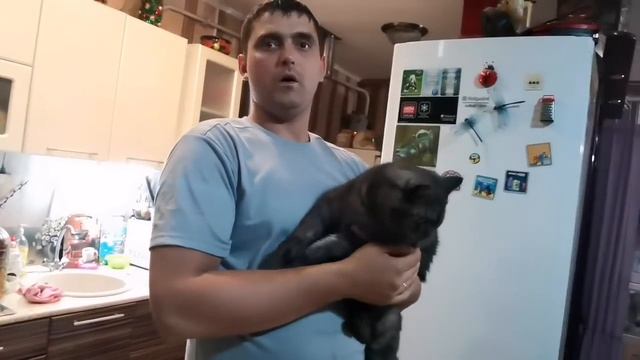 Муж готовит 3 блюда ? Папа пробует ? Наши выходные ? смотреть онлайн