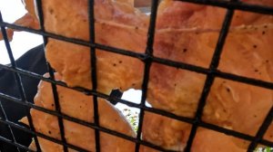 Как коптить сома.Рецепт приготовления.Коптим сома