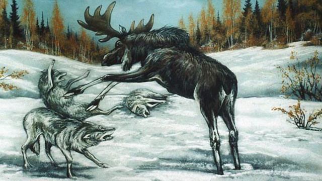 Ирина Буйместру, воспитатель Школы № 1788. День заповедников и национальных парков смотреть онлайн