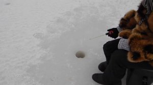 ✔РЫБАЛКА НА ВОЛГЕ -ОТЛИЧНЫЙ КЛЕВ ПОДЛЕЩИКА/ ЗИМНЯЯ РЫБАЛКА НА ВОЛГЕ/