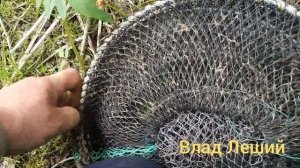 Заготовка сувеля для токарных работ.Как сушить сувель.