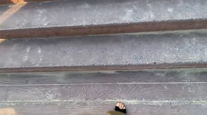 На метро до Колеса Обозрения и Дрон Шоу в Дубае.Инструкция для туристов