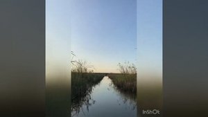 19.09.2020 Шапсугское водохранилище рыбалка.