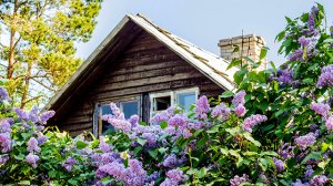 Любэ - "Позови меня тихо по имени"