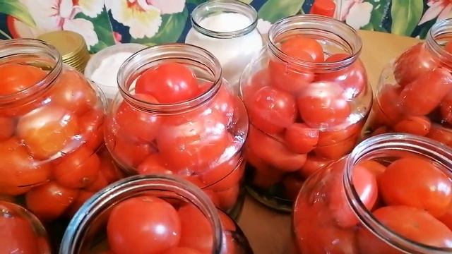 Маринованные ПОМИДОРЫ быстро и вкусно ! смотреть онлайн