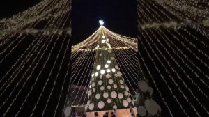 Новогодняя атмосфера на Навагинской в Сочи.