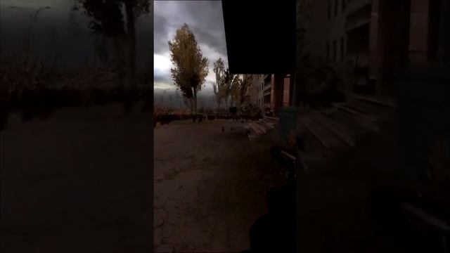 ?️S.T.A.L.K.E.R.: Зов Припяти. Кто выбросил Псевдособаку?