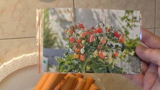 Как правильно посеять комнатные томаты