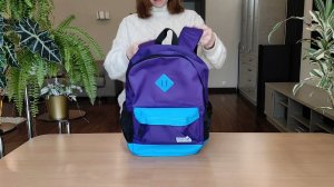 Городской рюкзак Polar 15008