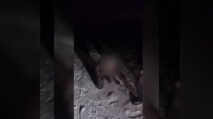 Поймали Краснодарских спортиков