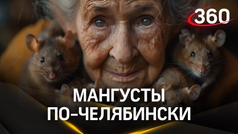 Видео: десятки крыс в квартире пенсионерки, которых она считает мангустами