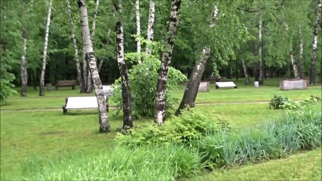 МОСКВА.ОТКРЫЛИ ПАРКИ.САМОИЗОЛЯЦИЯ СКАМЕЕК.В СОКОЛЬНИКАХ ПОСТРОИЛИ ГОСТИТАЛЬ.MOSCOW.PARKS.lIMITATION смотреть онлайн