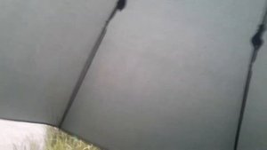 Обзор Рыбацкий Зонт Карповый Зонт