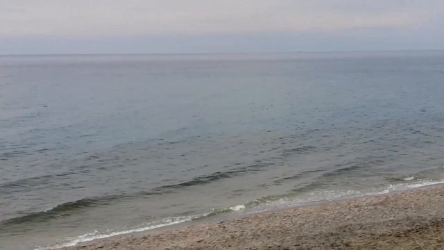 МОРЕ МАХМУТЛАРА. ТУРЦИЯ 2023.