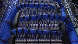Президент утвердил комплекс мер по поддержке IT-компаний