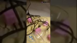 Паук с горячим вакуумом