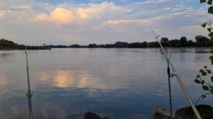 Рыбалка на судака. Оснастка на судака. Ловим судака на бычка. Рыбалка в Германии на судака, Рейн.