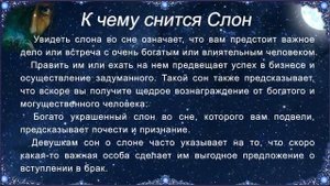 К чему снится Слон (Сонник)